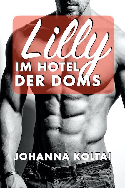 Lilly im Hotel der Doms Buch