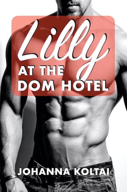 Lilly-at-the-Dom-Hotel-Book