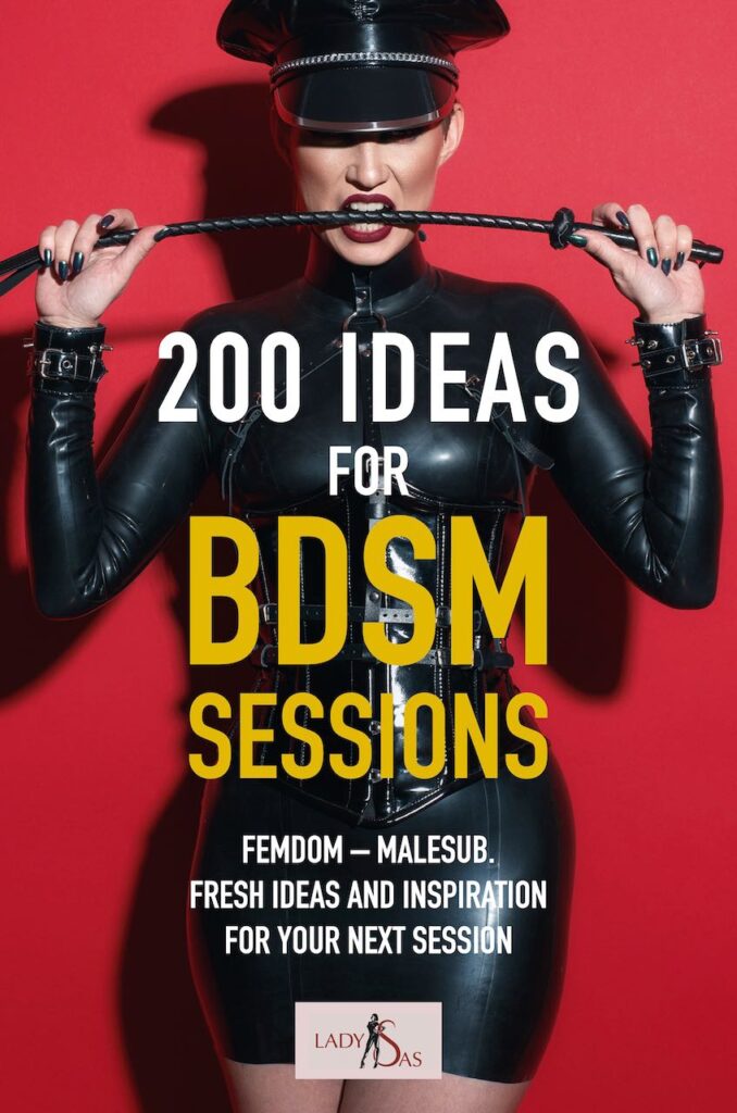 200 ideas for bdsm sessions book